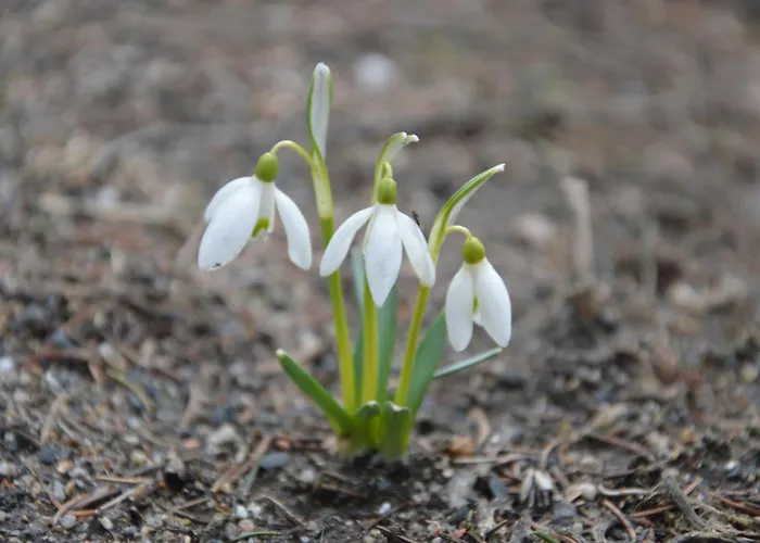 Bed & Breakfast Na Cichej
