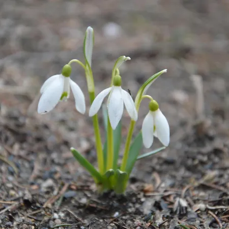 فندق مبيت وإفطار Na Cichej